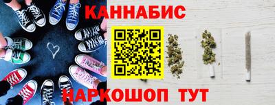 индика Пенза