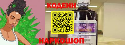 индика Пенза