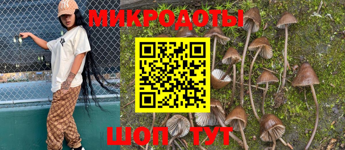 Галлюциногенные грибы мухоморы Серов